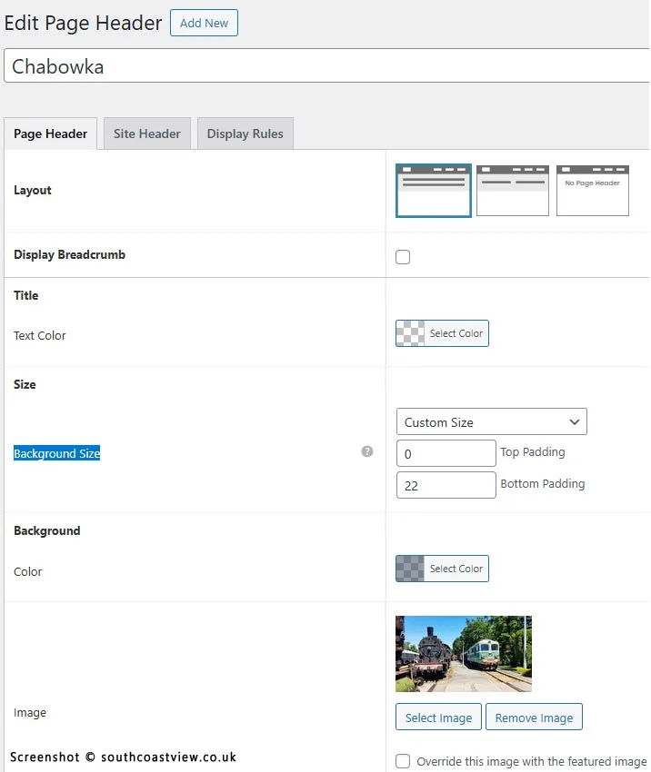 Screenshot of background image size in the Astra page header settings.