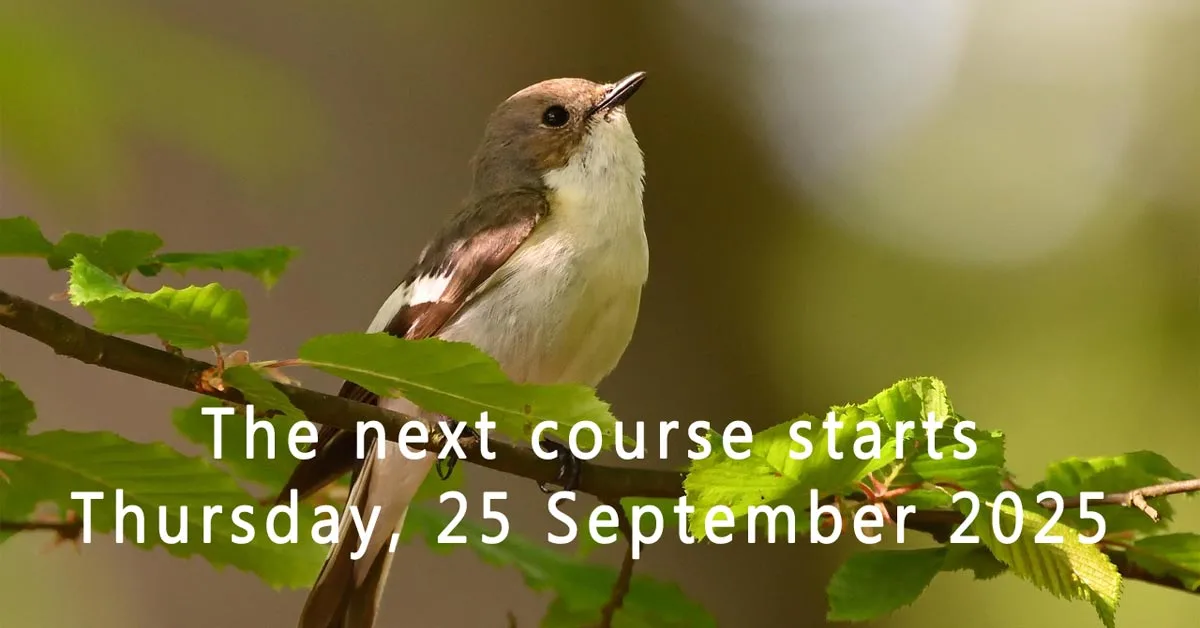 Recovery after a broken relationship 1200.